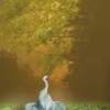 Digital Paintings - Silent Moments - Surrealistic Birds